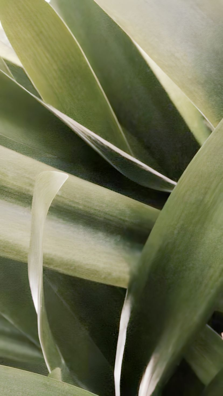 Aprender a contar las calorías en tu día a día